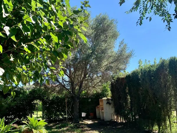 Chalet adosado en Calle l'Àguila, 12, Almajada-Ravel, Almajada-Ravel - Foto 3