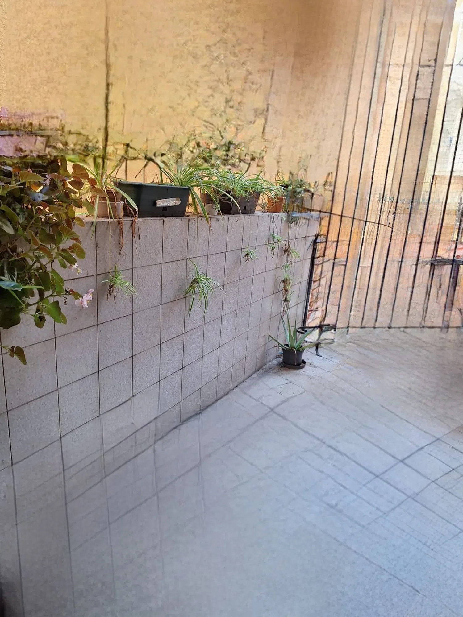 Piso en calle de Santa Ana., 37 - Foto 2