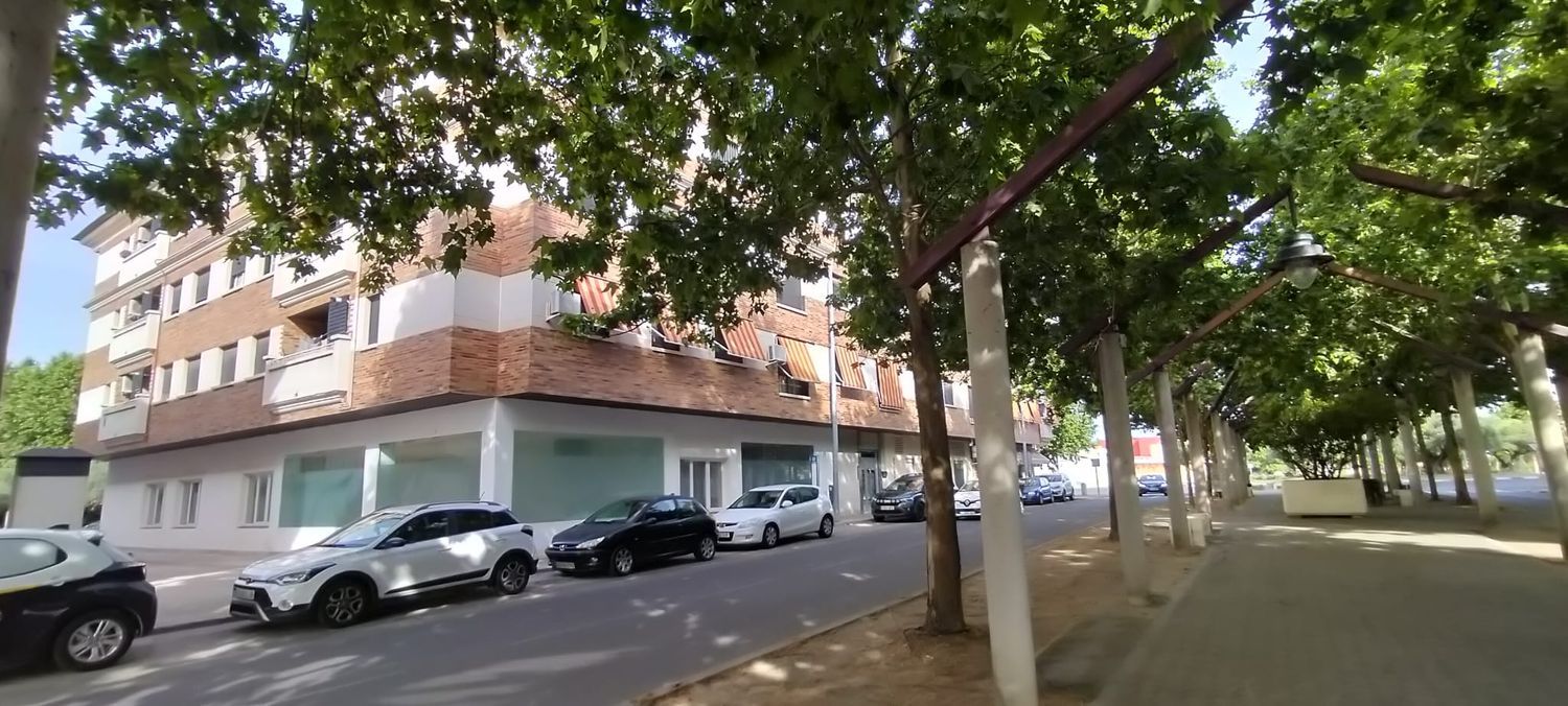 Piso en Puerta de Cuartos - Avda. de Portugal, Puerta de Cuartos - Avda. de Portugal - Foto 10