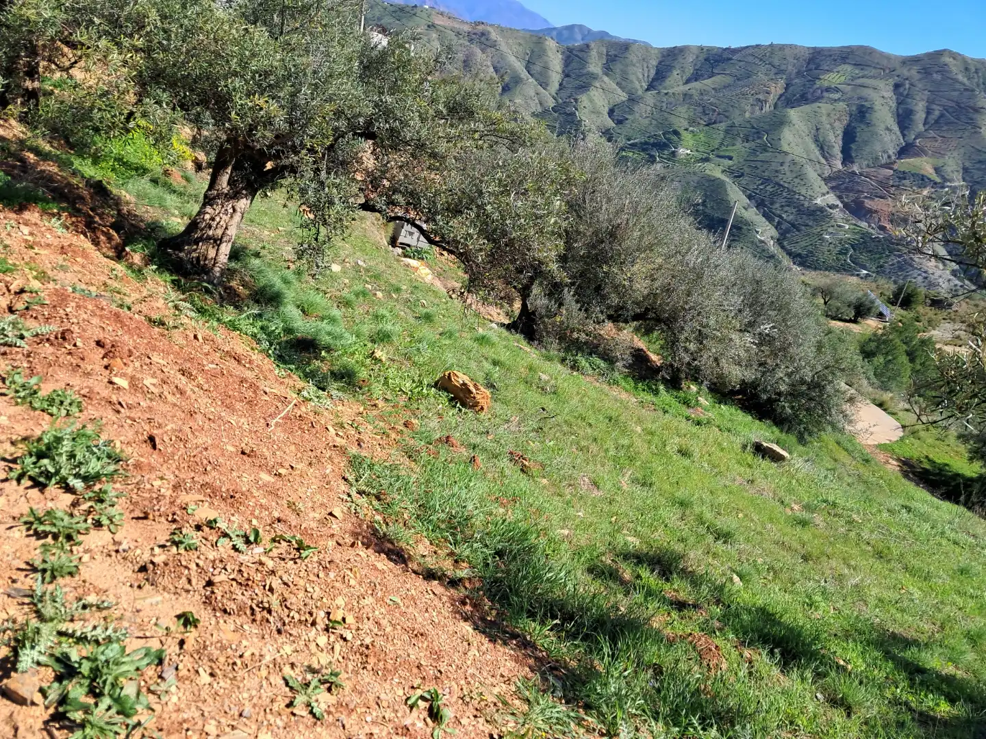 Finca rústica en  Diseminado el Cerval Pol 15 34B - Foto 21