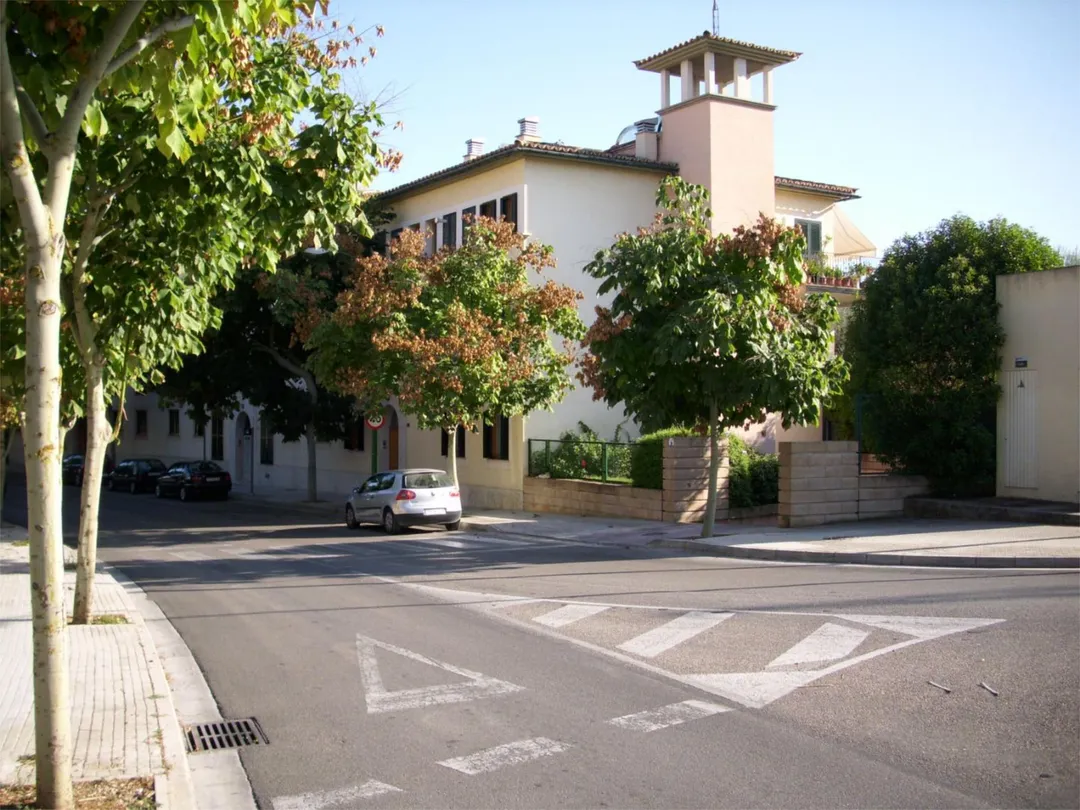 Planta baja en  Carrer del Mussol 21 - Foto 1