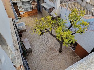 Planta baja en  Avenida del Taibilla 17 - Foto 12