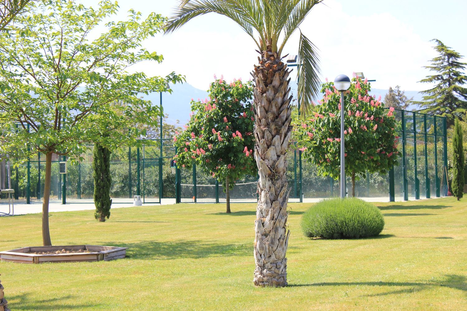 Casa o chalet independiente en Camino Viejo de Logroño, 53 - Foto 18