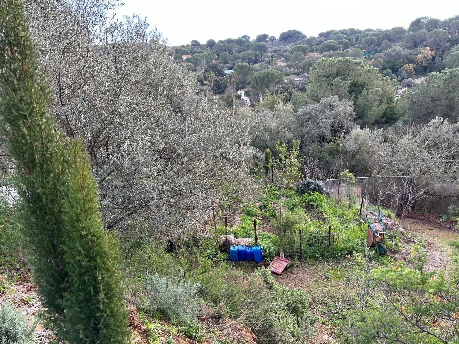 Casa rural en camino Carrascoso Siete Fincas, 183 - Foto 7
