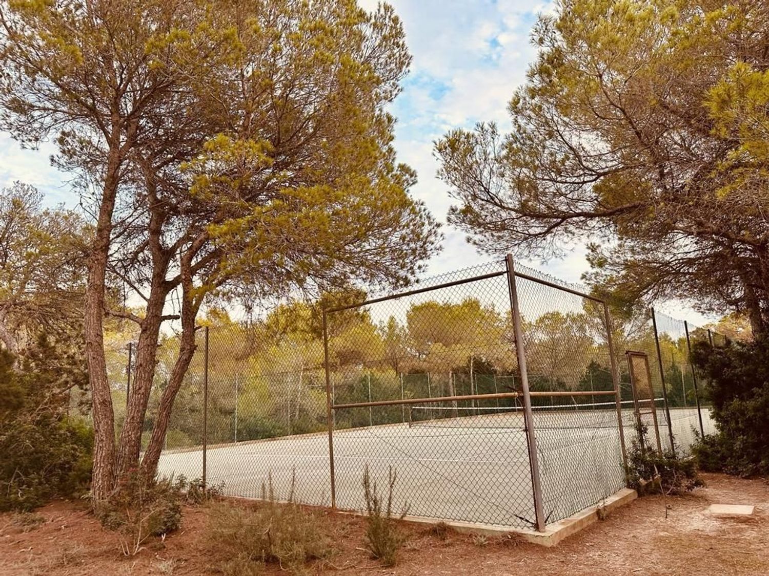 Finca rústica en Calle des Pla del Rei, 12 - Foto 17