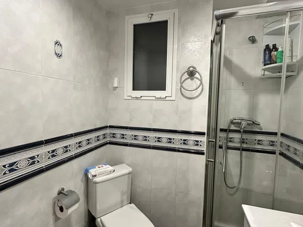 Piso en Calle de Pedro II el Católico, 8, Barrio del AVE - Foto 10