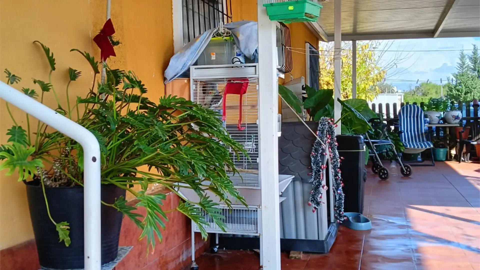 Finca rústica en  Calle Carmen 12 - Foto 25