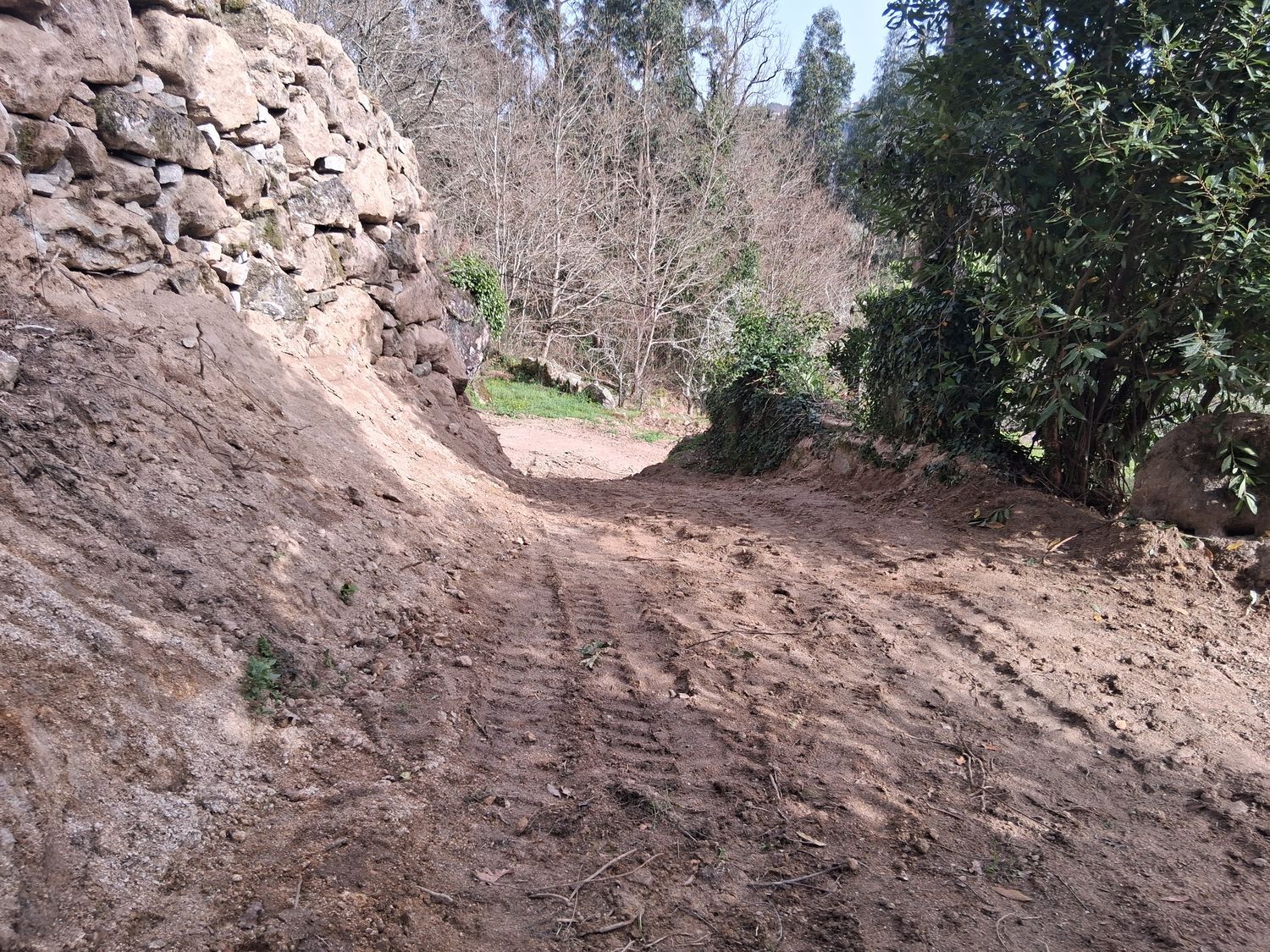 Finca rústica en Alboredos s/n - Foto 6