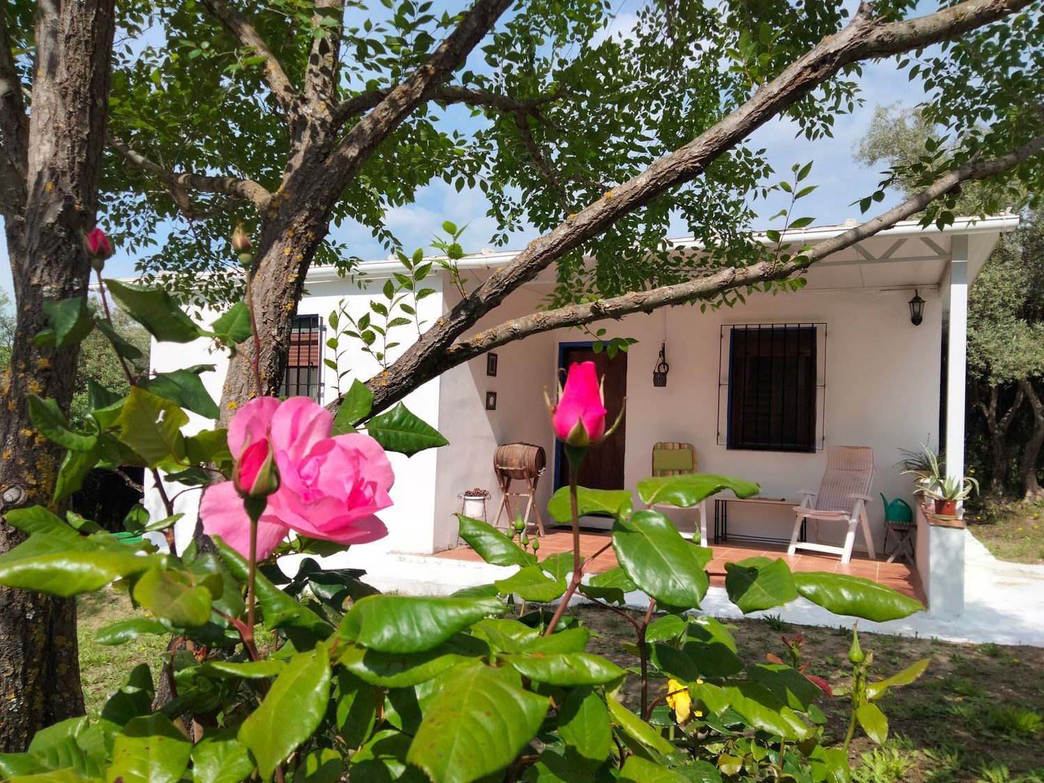 Casa independiente en avenida Rosal, 20