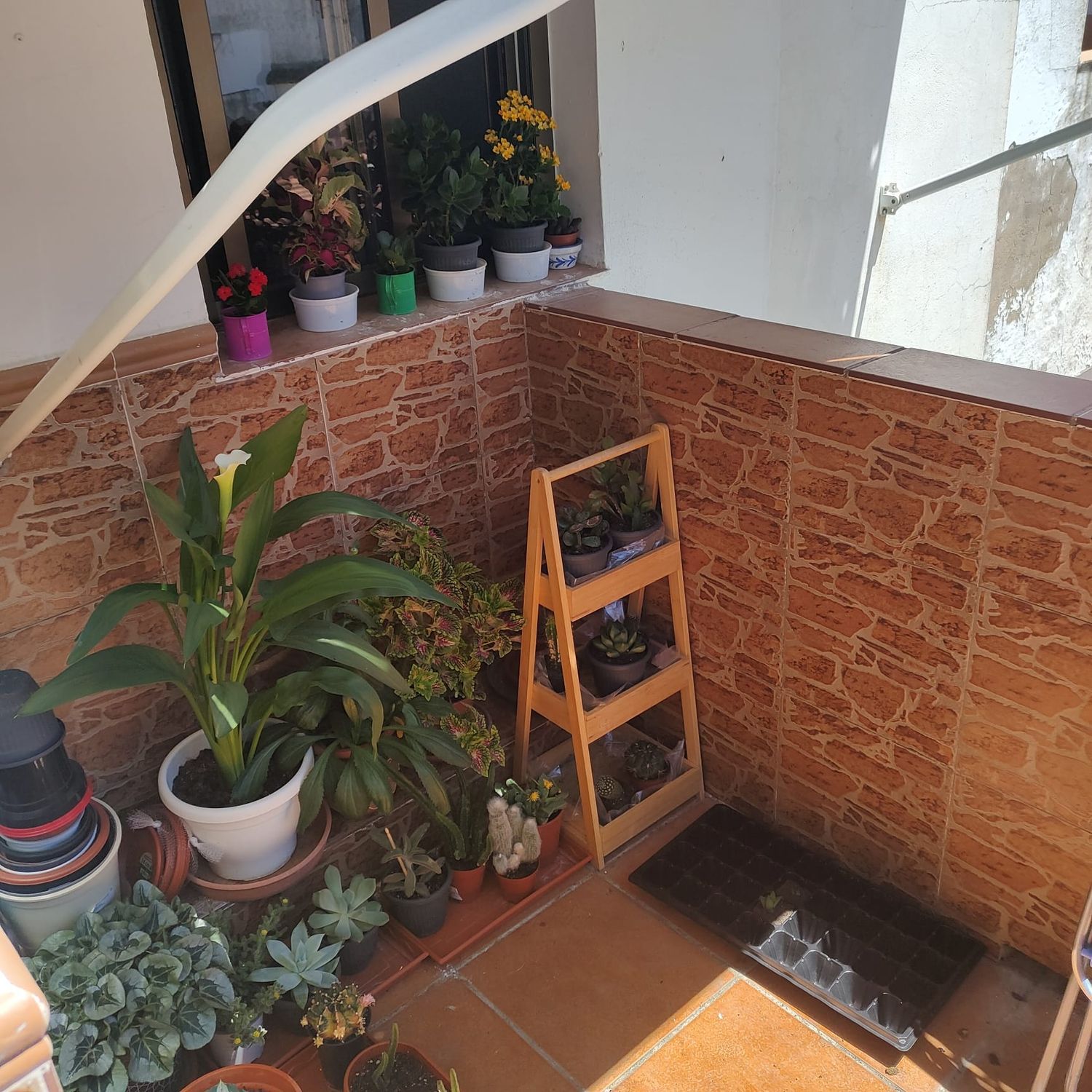 Piso en Calle Señor de los Pasos, 5 - Foto 8