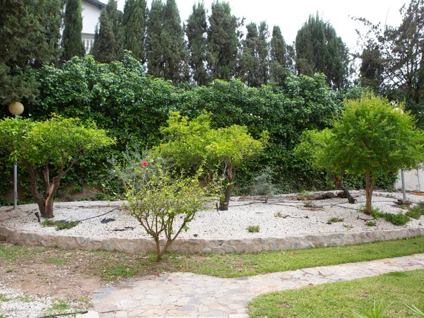 Piso en calle Olivos, 17 - Foto 15