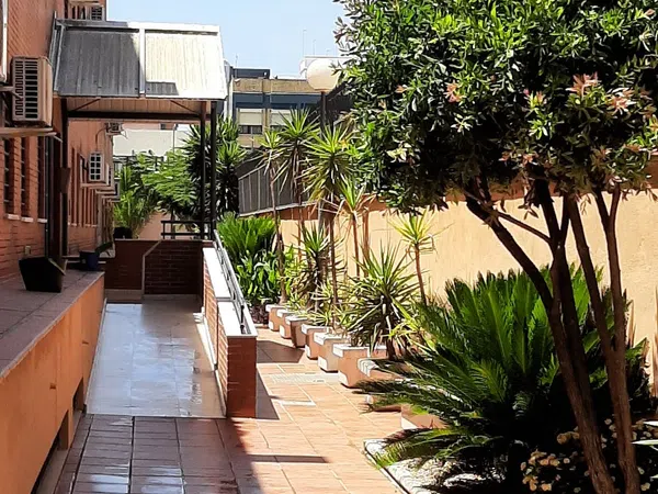 Estudio en Calle Antonio Maura Montaner, 4, La Palmera - Manuel Siurot - Foto 9