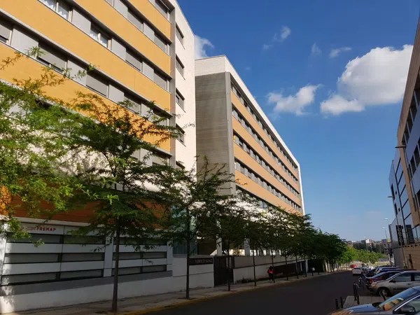 Piso en Calle las Lavanderas, 1, La Estación, La Estación - Foto 1