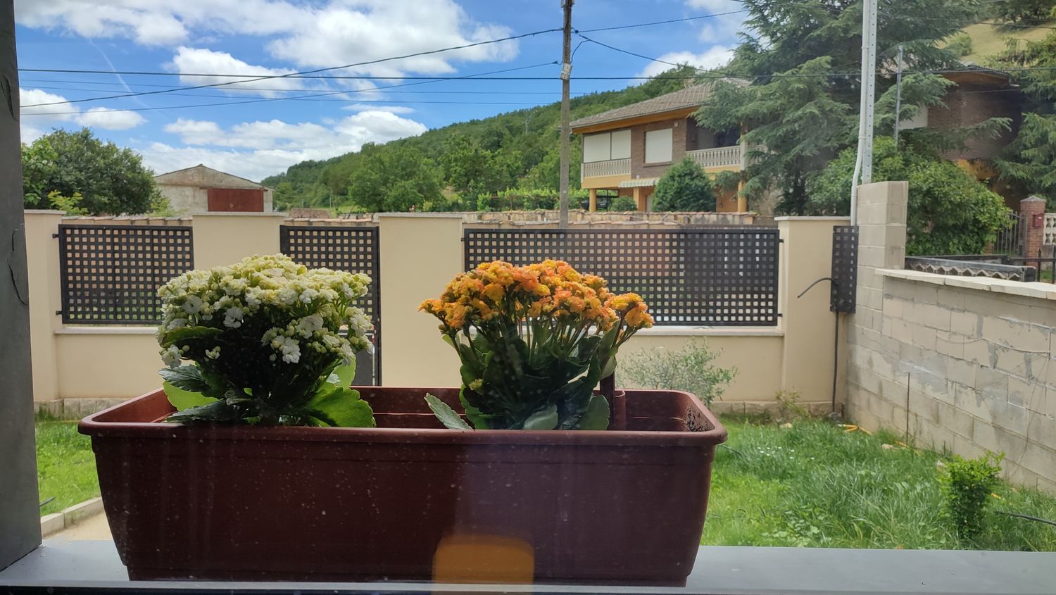 Casa o chalet independiente en Calle Crescencio Fernández s/n - Foto 15