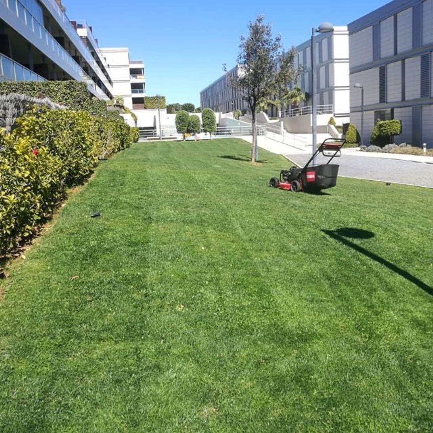 Piso en calle del Mármol s/n - Foto 14