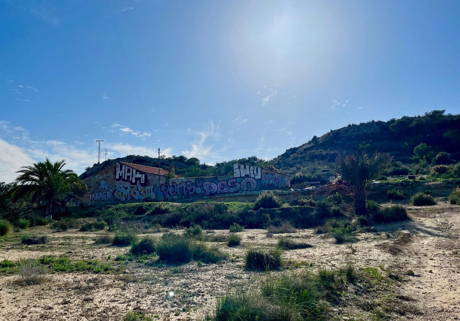 Finca rústica en camino Viejo de Saladas, 2 - Foto 6