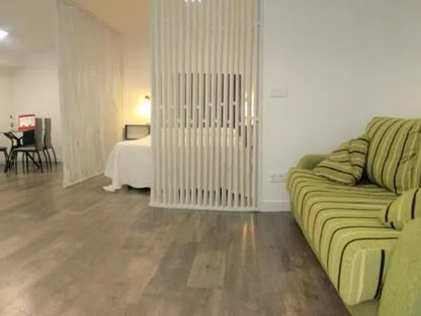 Estudio en Calle Miguel Artigas, 8 - Foto 3