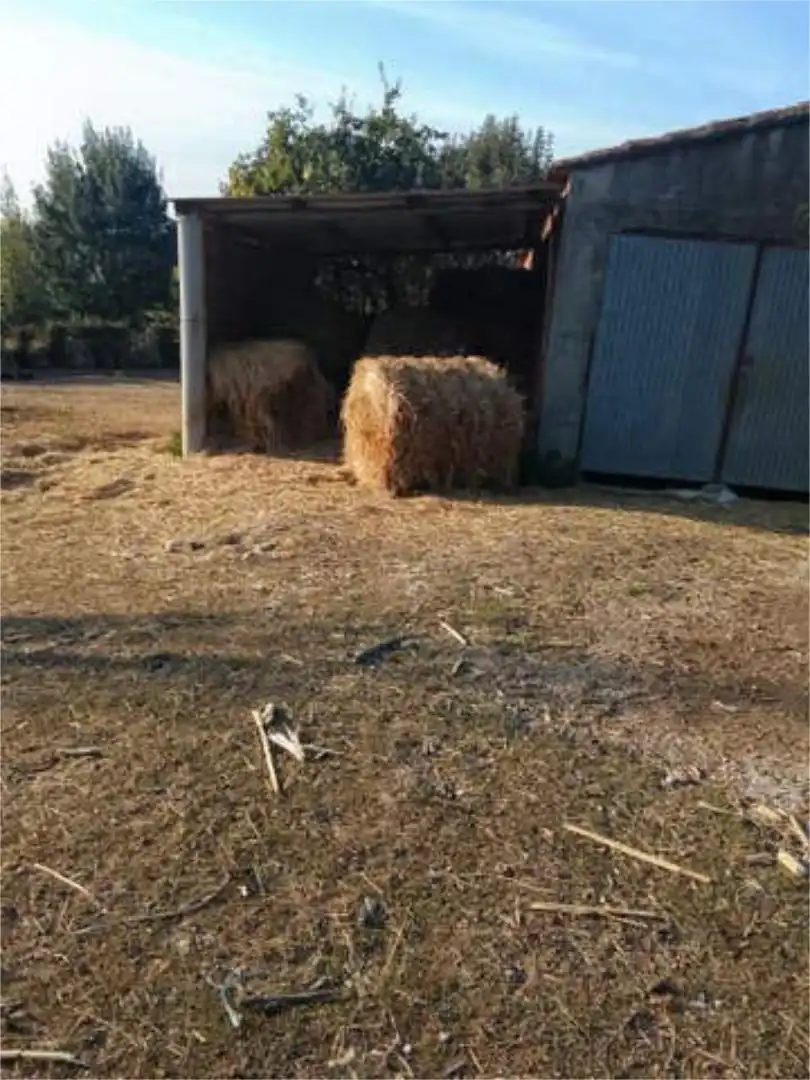 Chalet en Sindran Monforte de Lemos - Foto 3