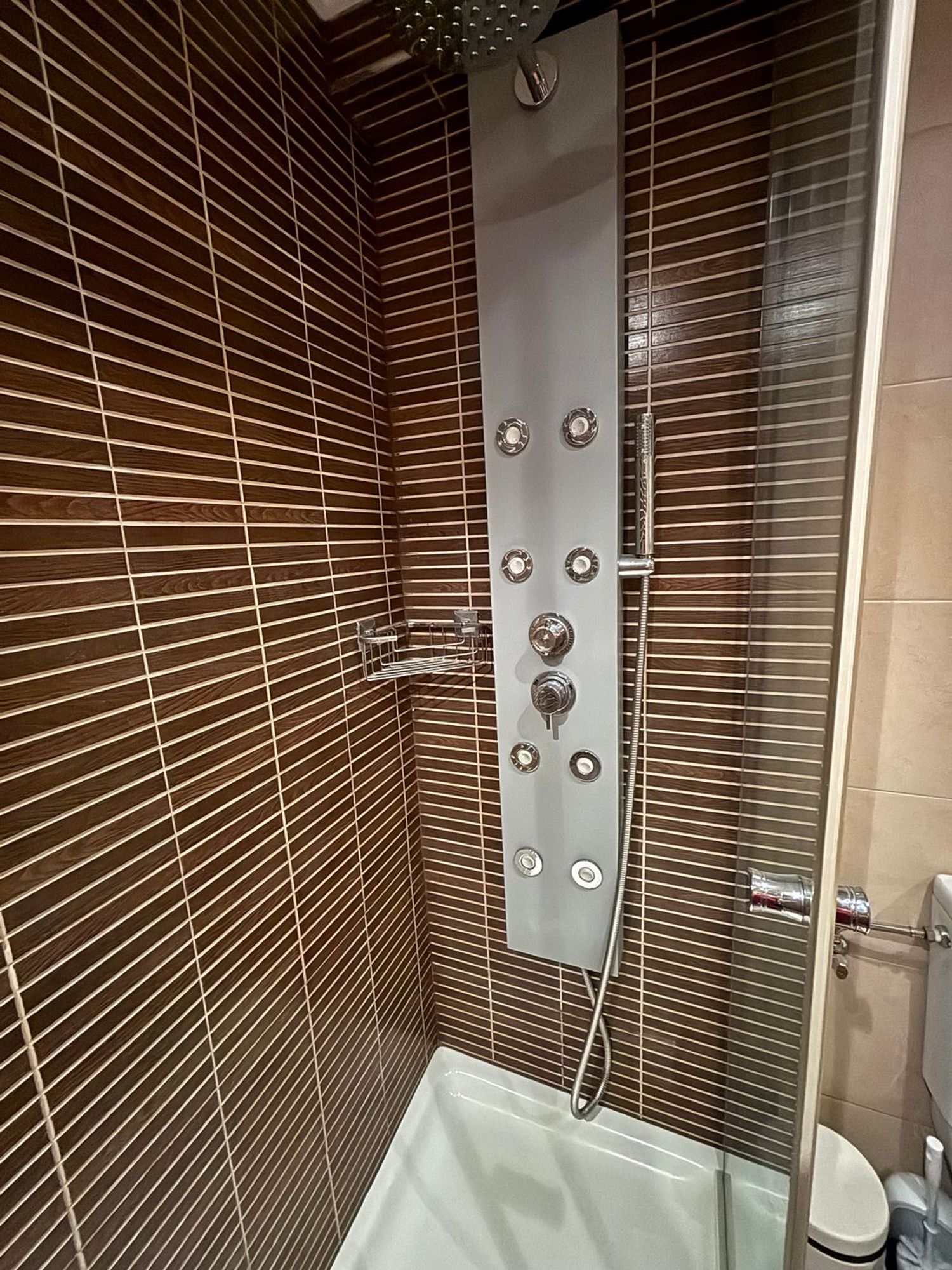 Piso en Calle Ibâibide, 32, Santa Ana - Foto 31