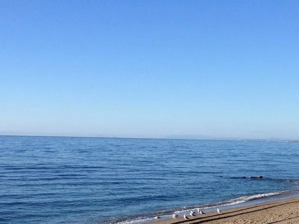 Piso en Avenida de Albatros, 6, Bahía de Marbella - Foto 8