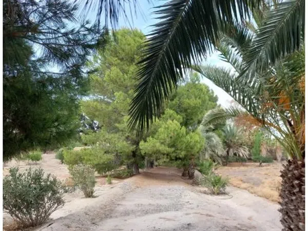 Cortijo en Cortijo en Rambla de Partaloa s/n - Foto 10