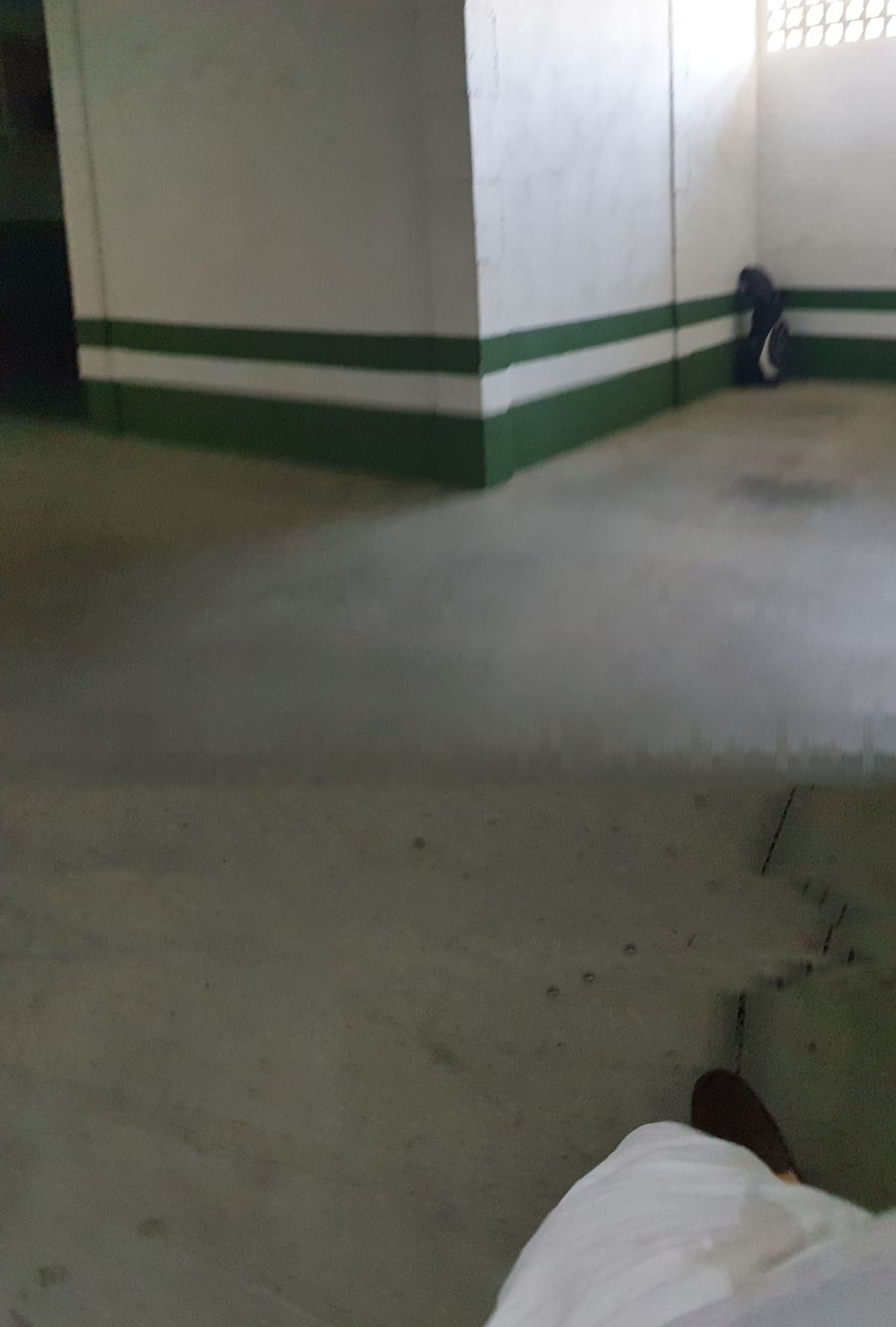 Ático en avenida Prado s/n - Foto 14