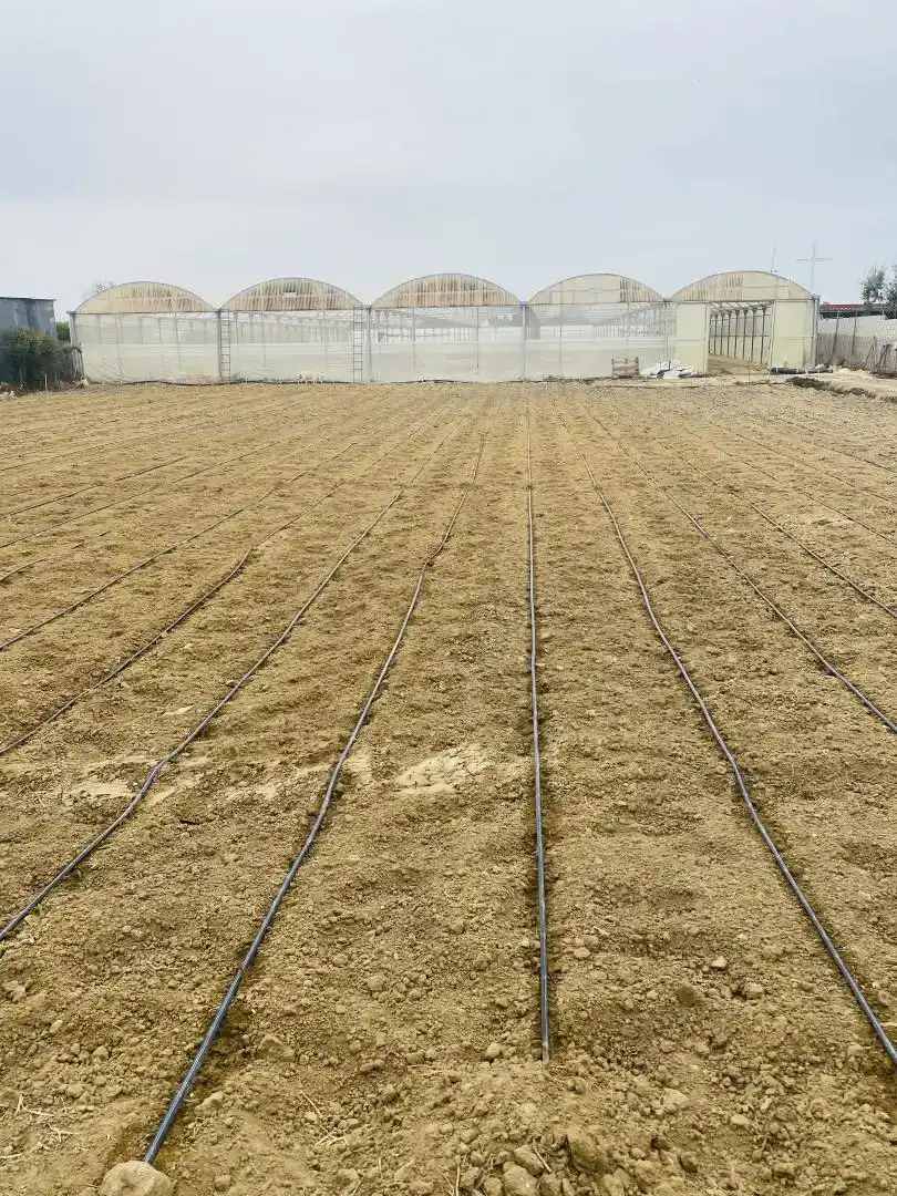 Finca rústica en  Caňada del Amarguillo 2 - Foto 11