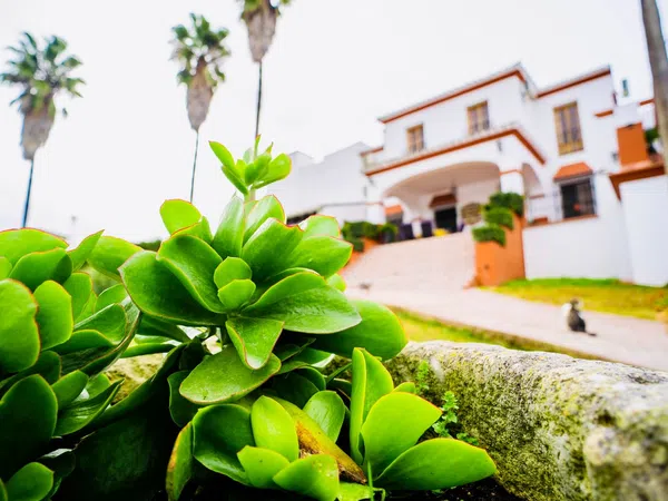 Casa rural en (36.8522990, -5.6169789) s/n - Foto 22