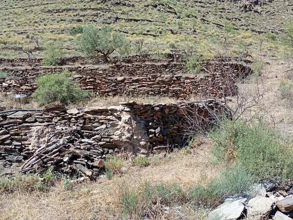 Cortijo en barranco s/n - Foto 13
