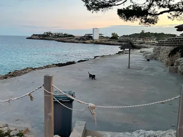 Piso en Paseo Illetes, 99, Illetes, Illetes - Foto 33