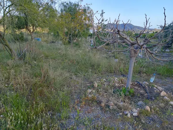 Casa rural en Diseminado el Charcon, 1 - Foto 15