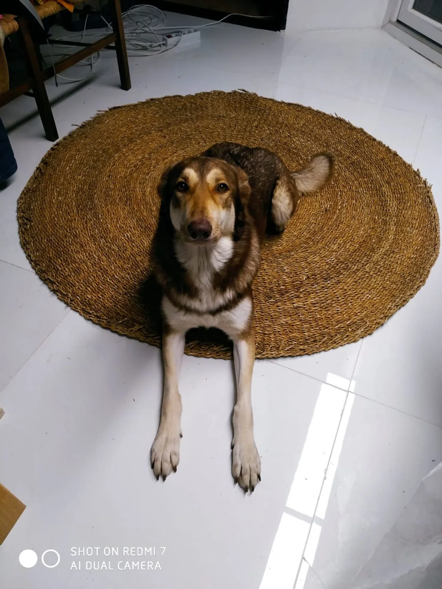 Piso en calle Navas del Rey, 1 - Foto 7