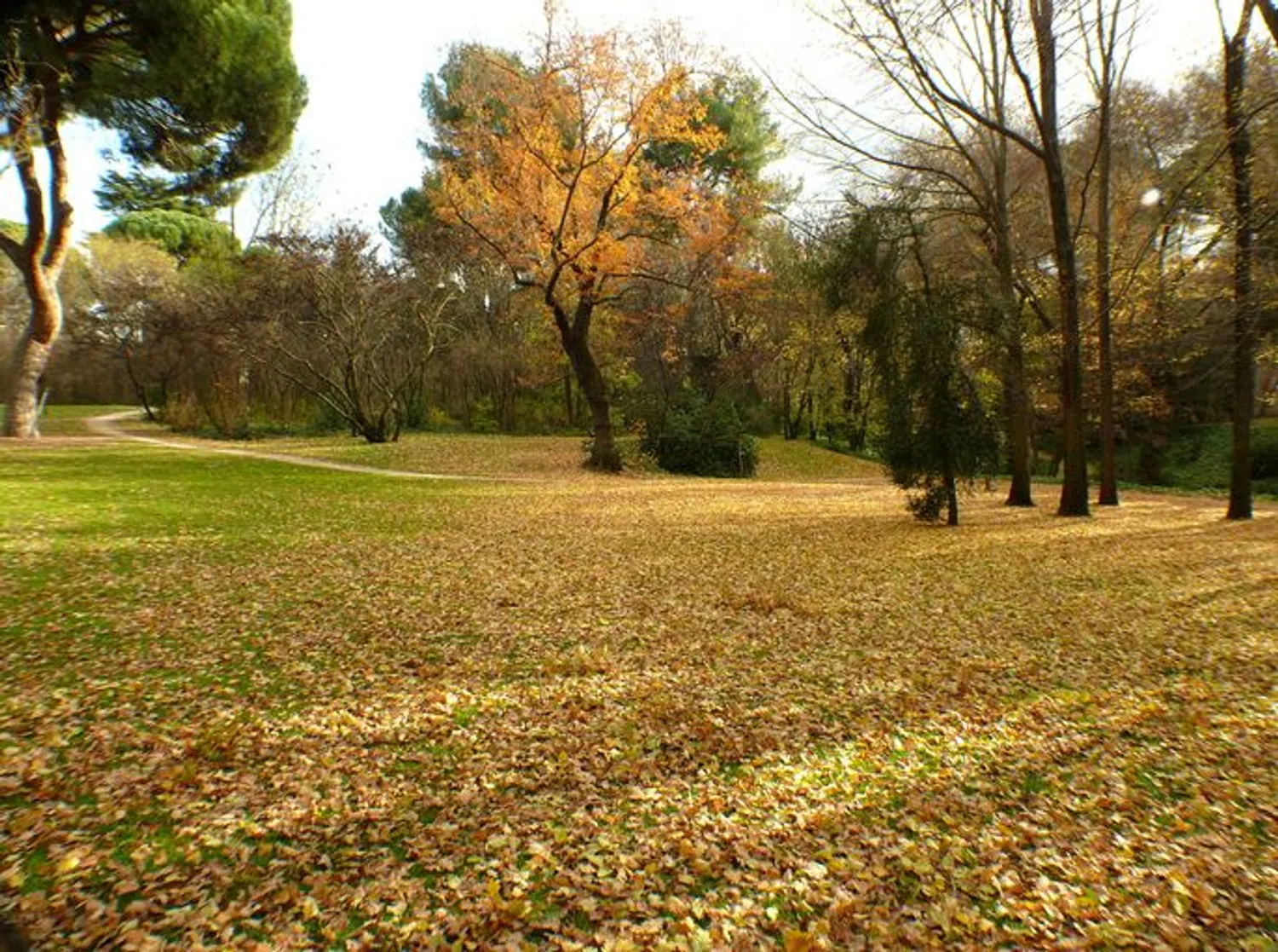 Piso en calle del Maestro Ángel Llorca, 5 - Foto 2