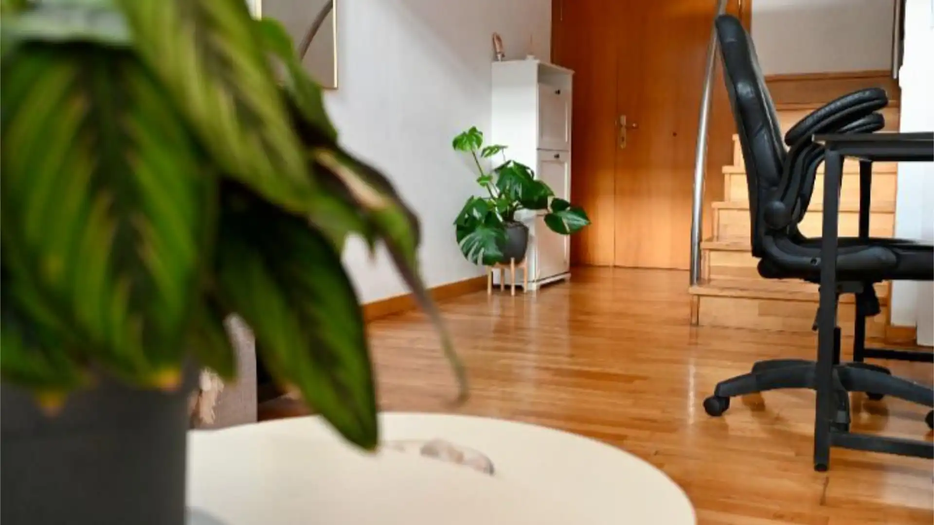 Piso en  Avinguda de Joan Miró 138 - Foto 6