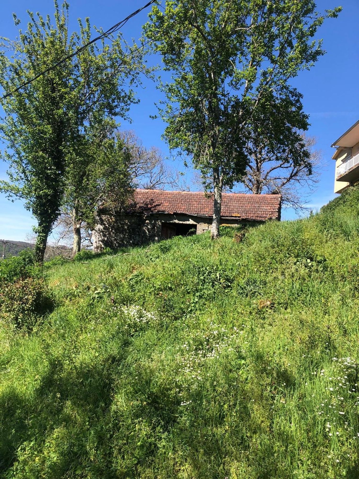 Casa o chalet independiente en o barrocal s/n - Foto 3