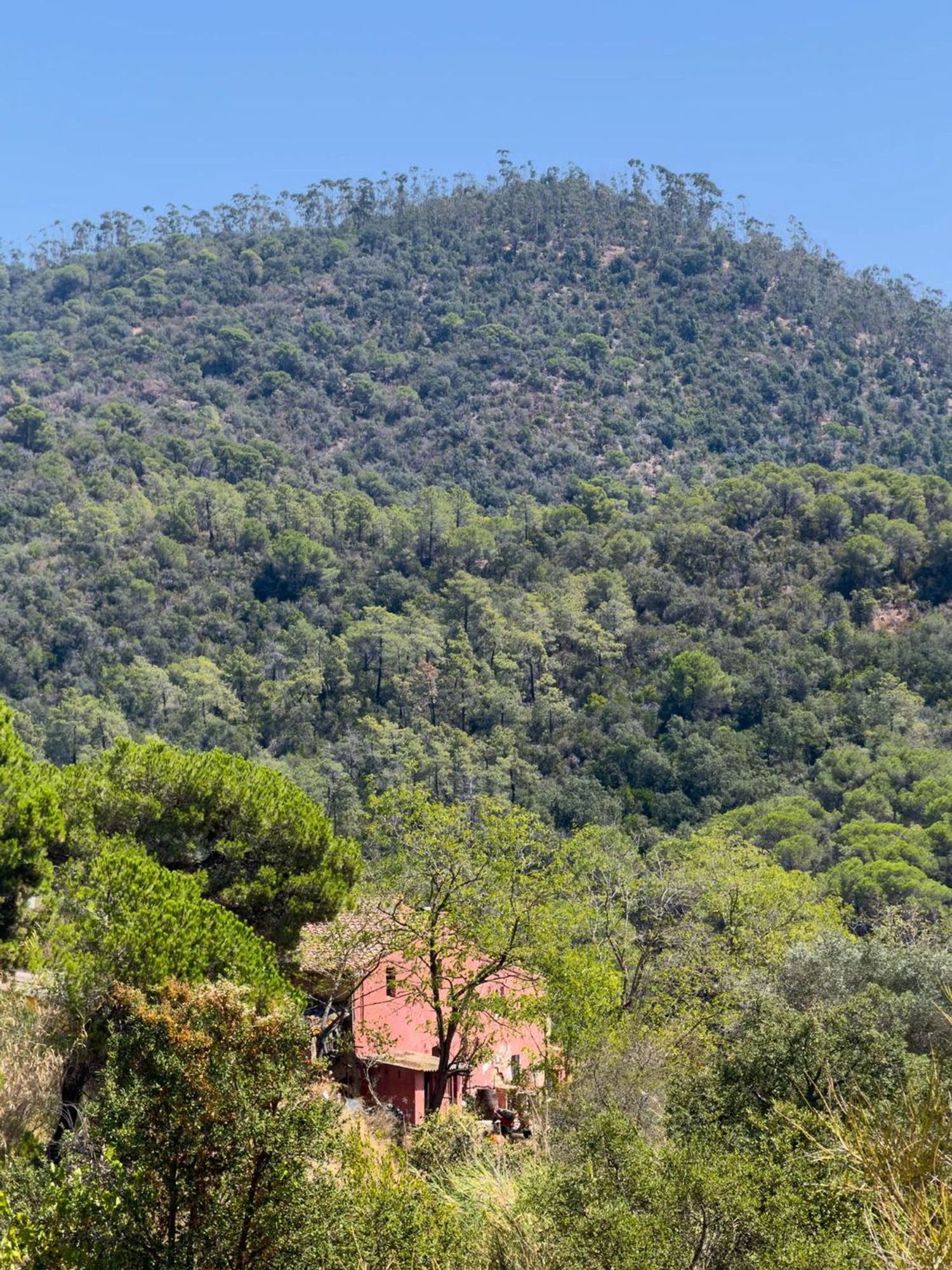 Masía en Masía en Diseminado Veinat de Sant Daniel, 104, Mas Mora - Sant Daniel, Mas Mora - Sant Daniel - Foto 16