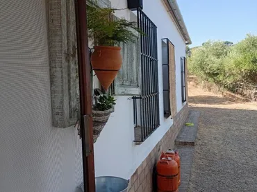 Finca rústica en  Calle de Antonio Machado 29 - Foto 3