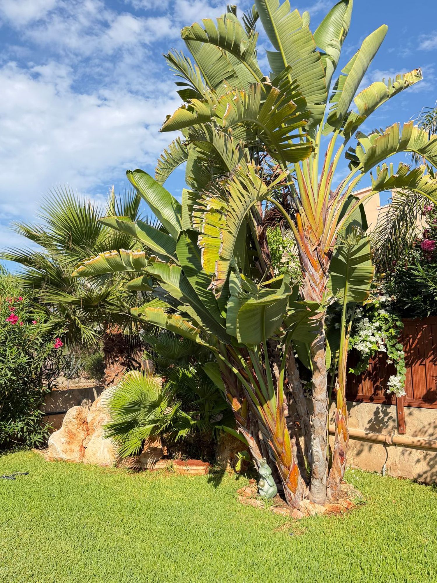 Casa o chalet independiente en Calle des Ferrallo M, 25, Cala Figuera, Cala Figuera - Foto 10