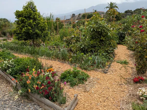 Casa rural en camino Carril, 39 - Foto 21