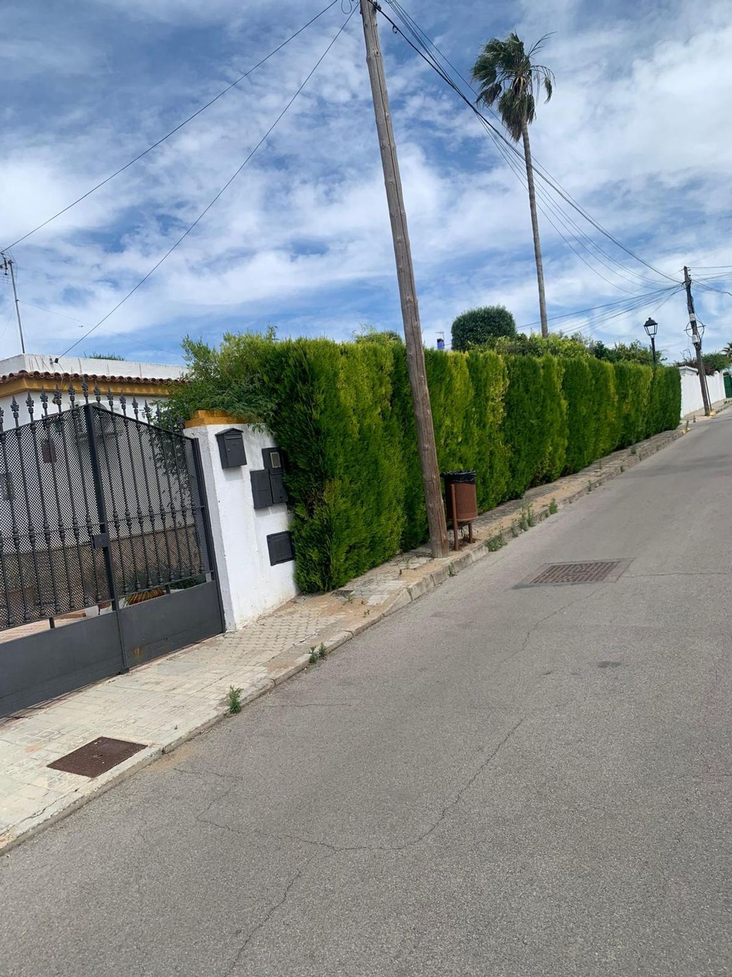 Chalet pareado en Calle Sauce, 3 - Foto 29