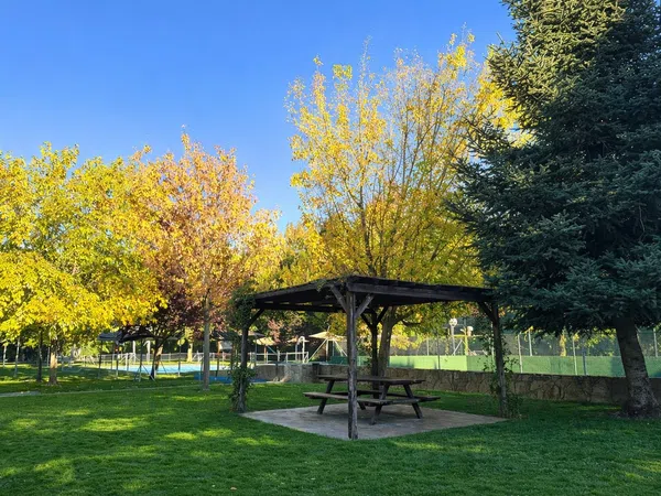 Piso en calle de la Hiedra, 284 - Foto 15