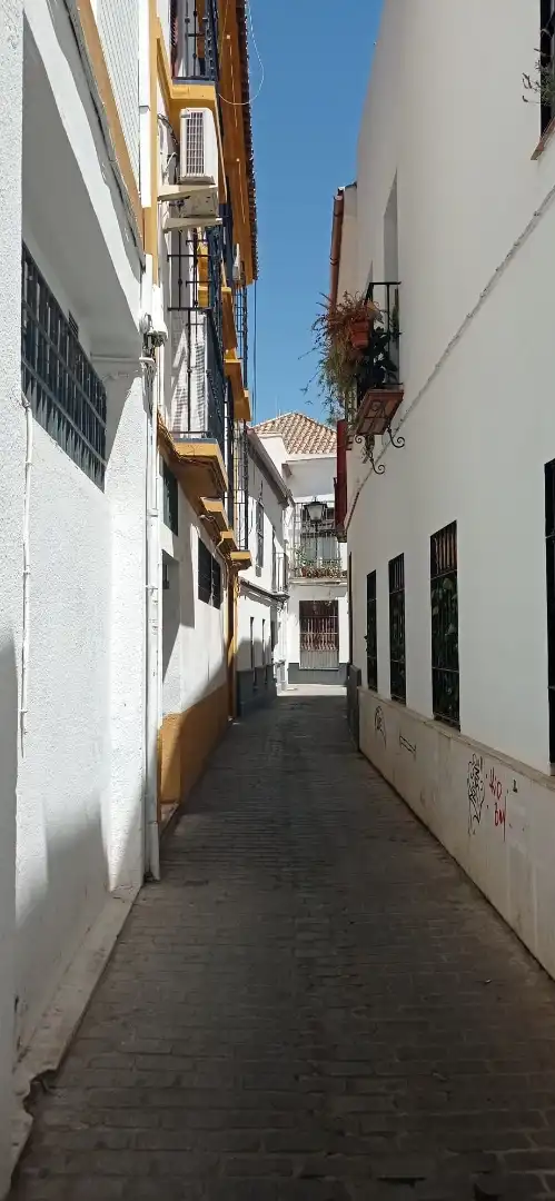 Apartamento en  Calle Bordador Rodríguez Ojeda 7 - Foto 7