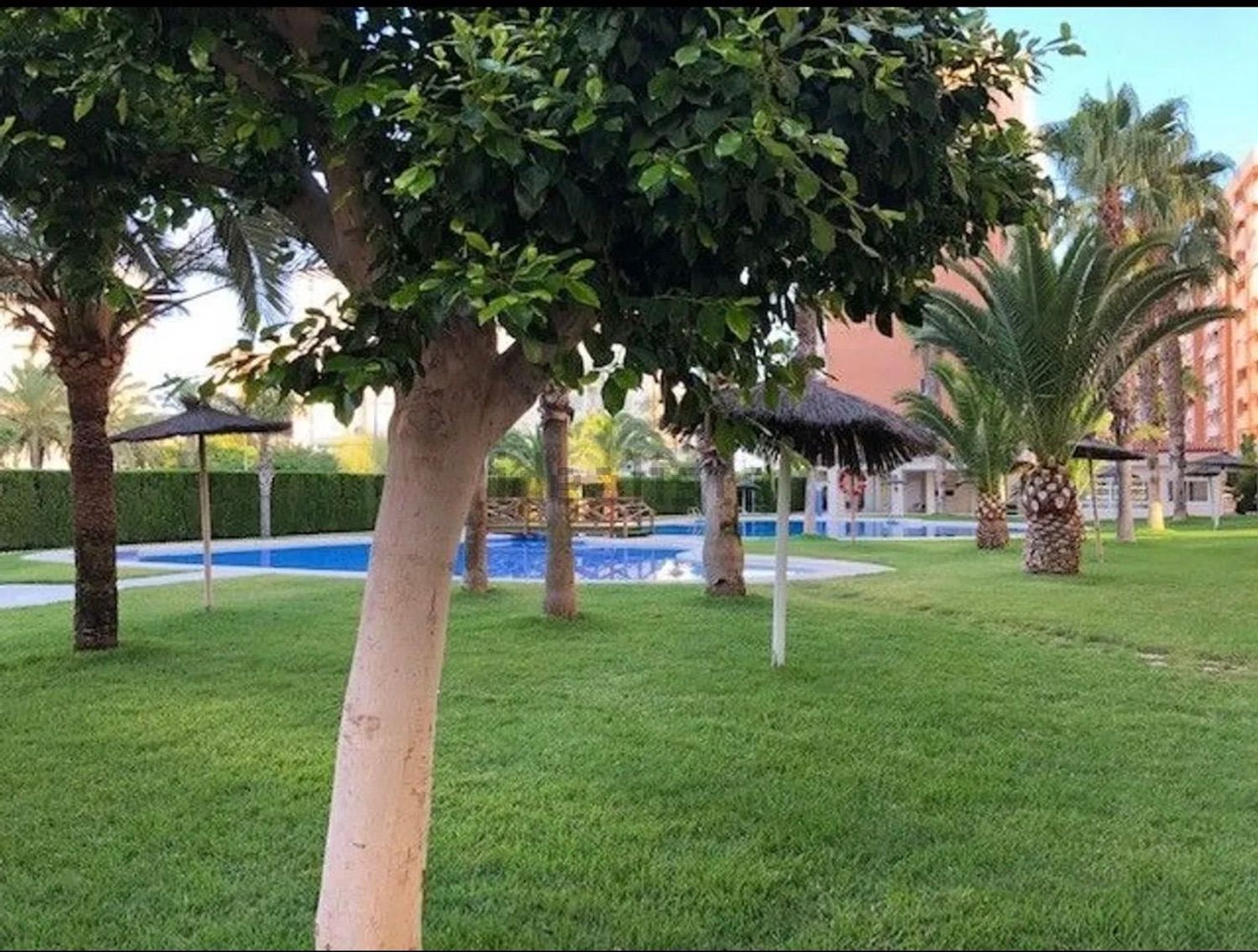 Piso en Avenida Oviedo, 6, Playa de San Juan - Foto 34