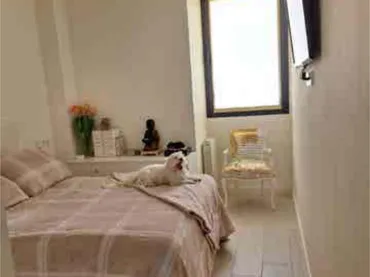 Piso en Eusebio Estada - Foto 1