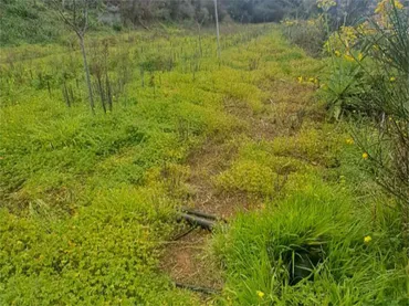 Terreno No Urbanizable en  Camino Real 308 - Foto 3