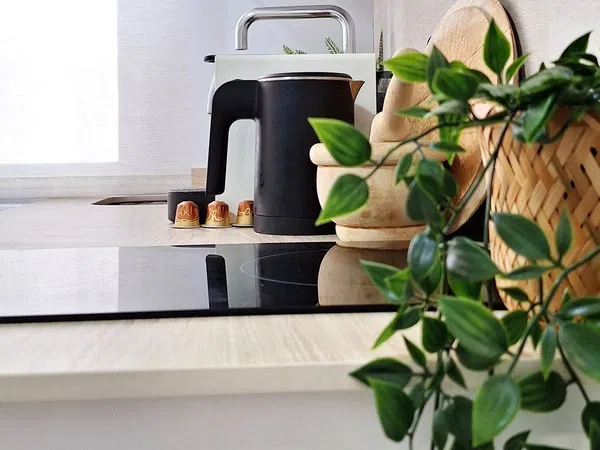 Estudio en Plaza Santa Isabel, 1, San Julián - Foto 18