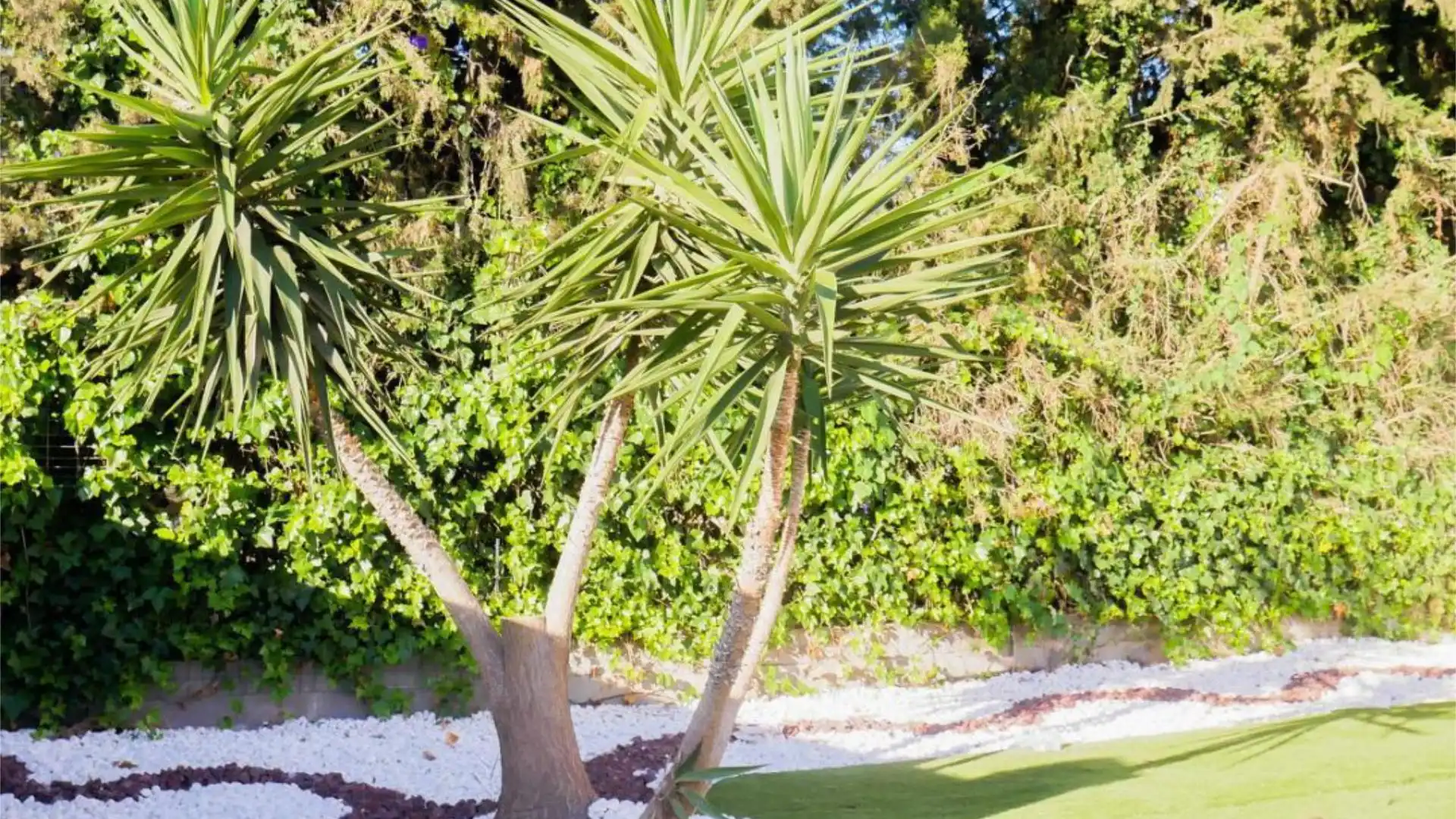 Chalet en  Camino del acebo 2 - Foto 6