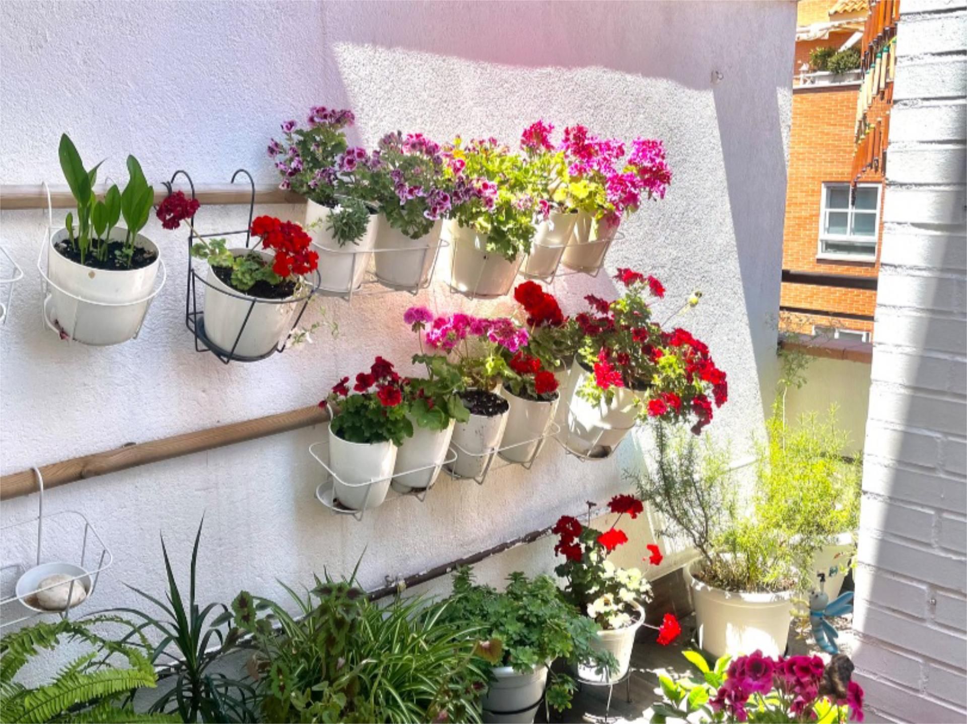 Piso en  Calle de María Sevilla Diago 36 - Foto 6