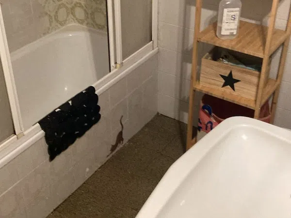 Piso en Calle Joaquín Villa Cañal, 11, El Cristo - Foto 3