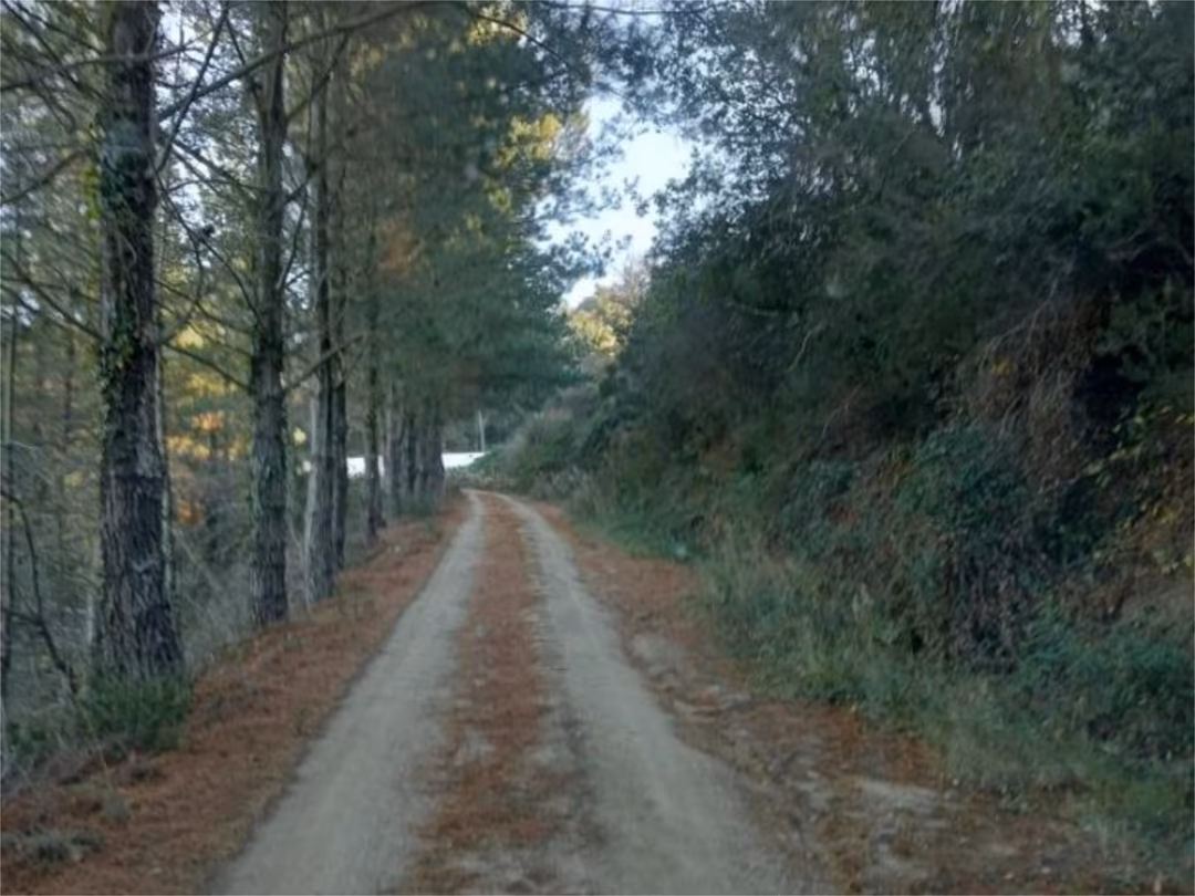 Chalet en  Carrer de Vallgorguina 8 - Foto 7